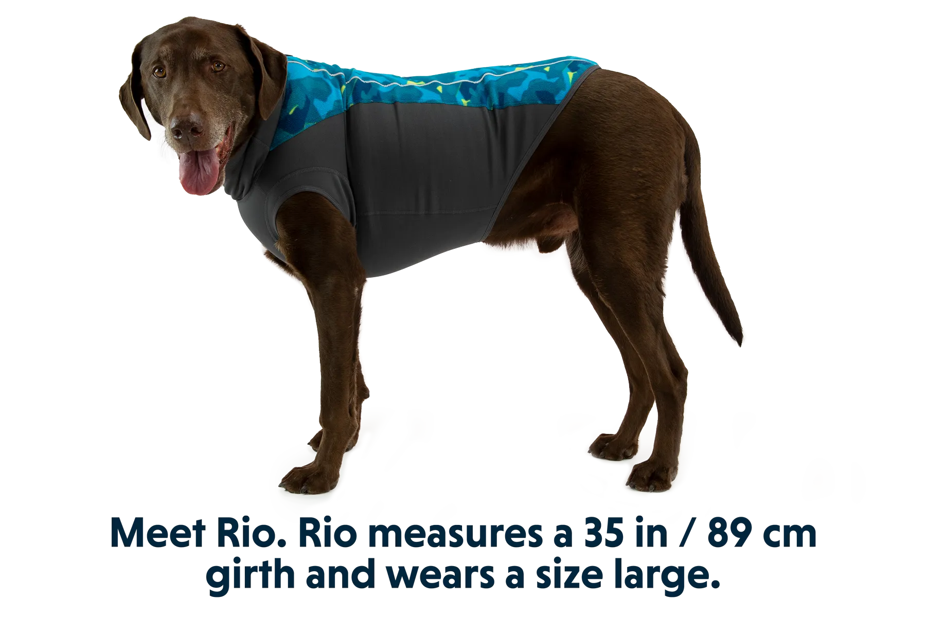 Climate Changer™ Dog Fleece Pullover