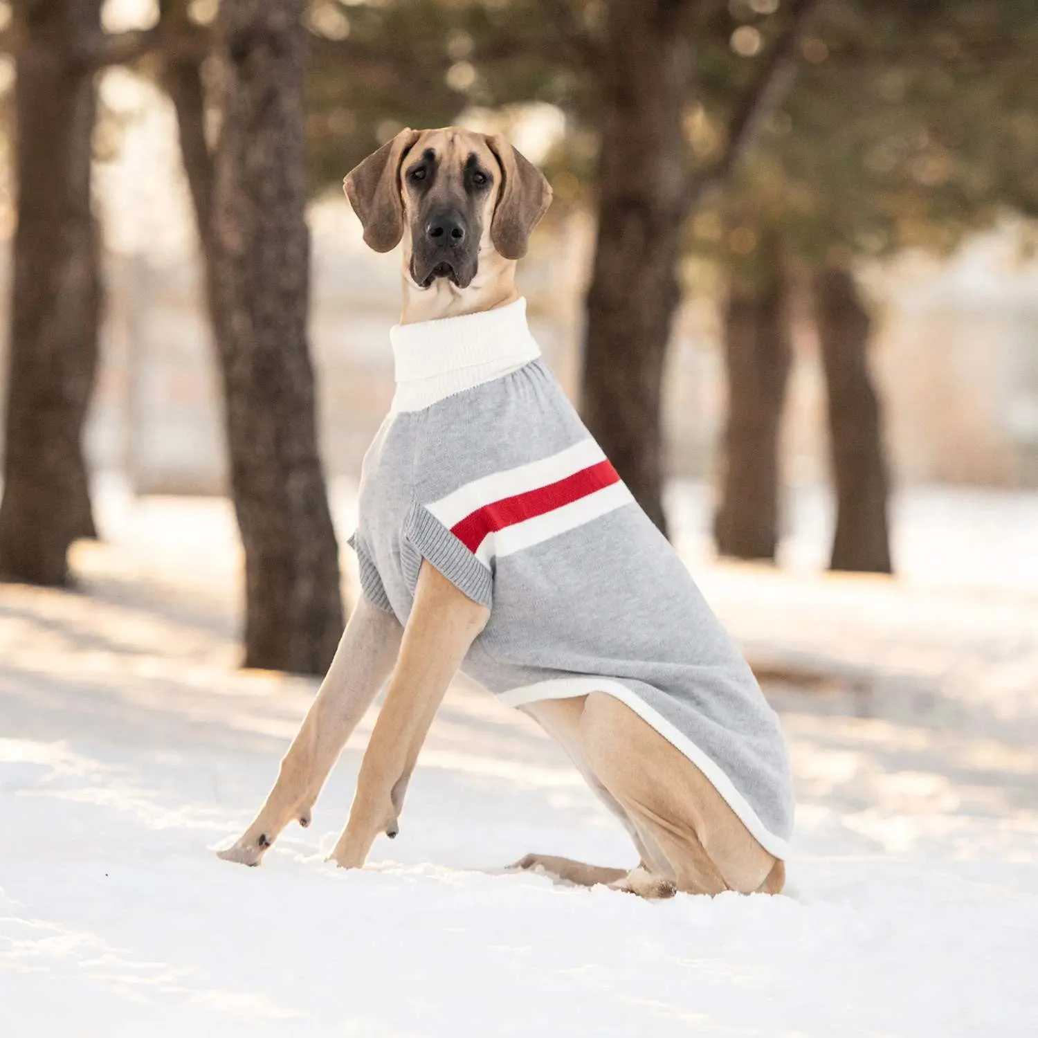 GF Pet Trekking Dog Sweater in Grey Mix - XS